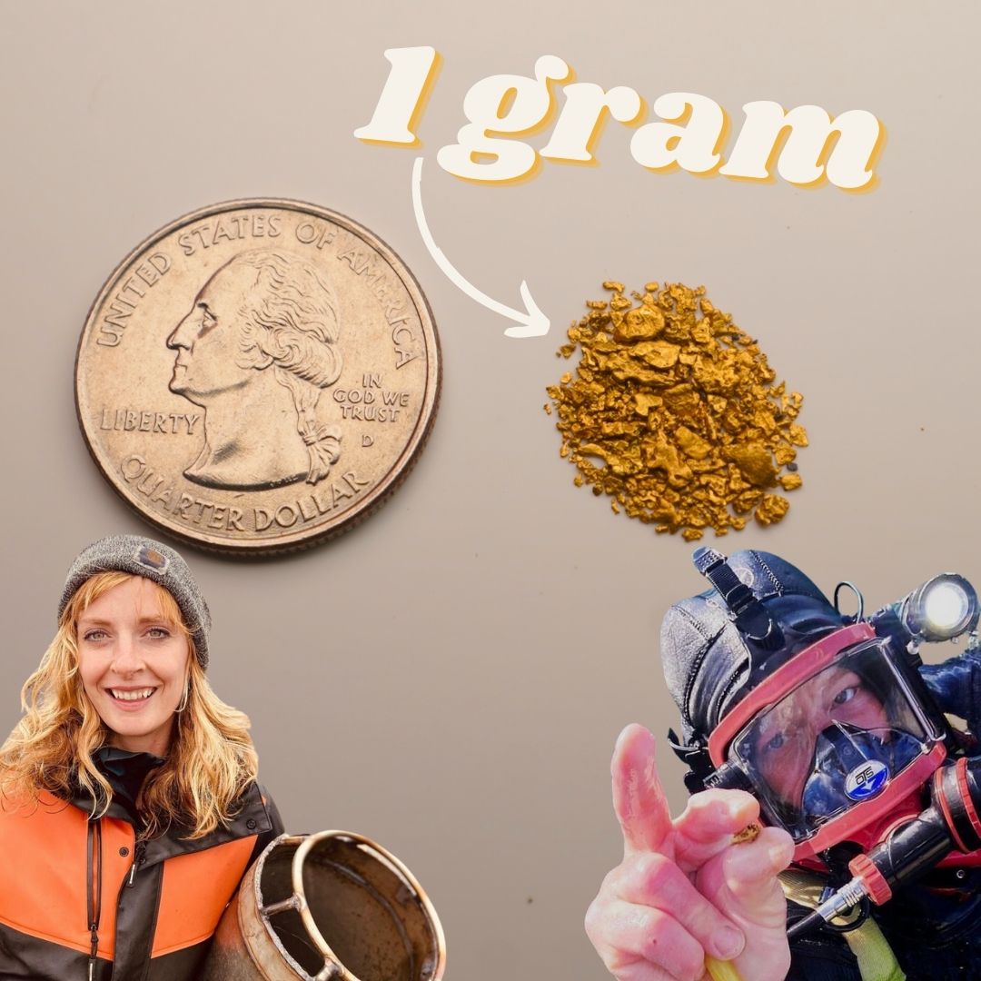 1 Gram - Emily Riedel's Real Bering Sea Gold Flakes